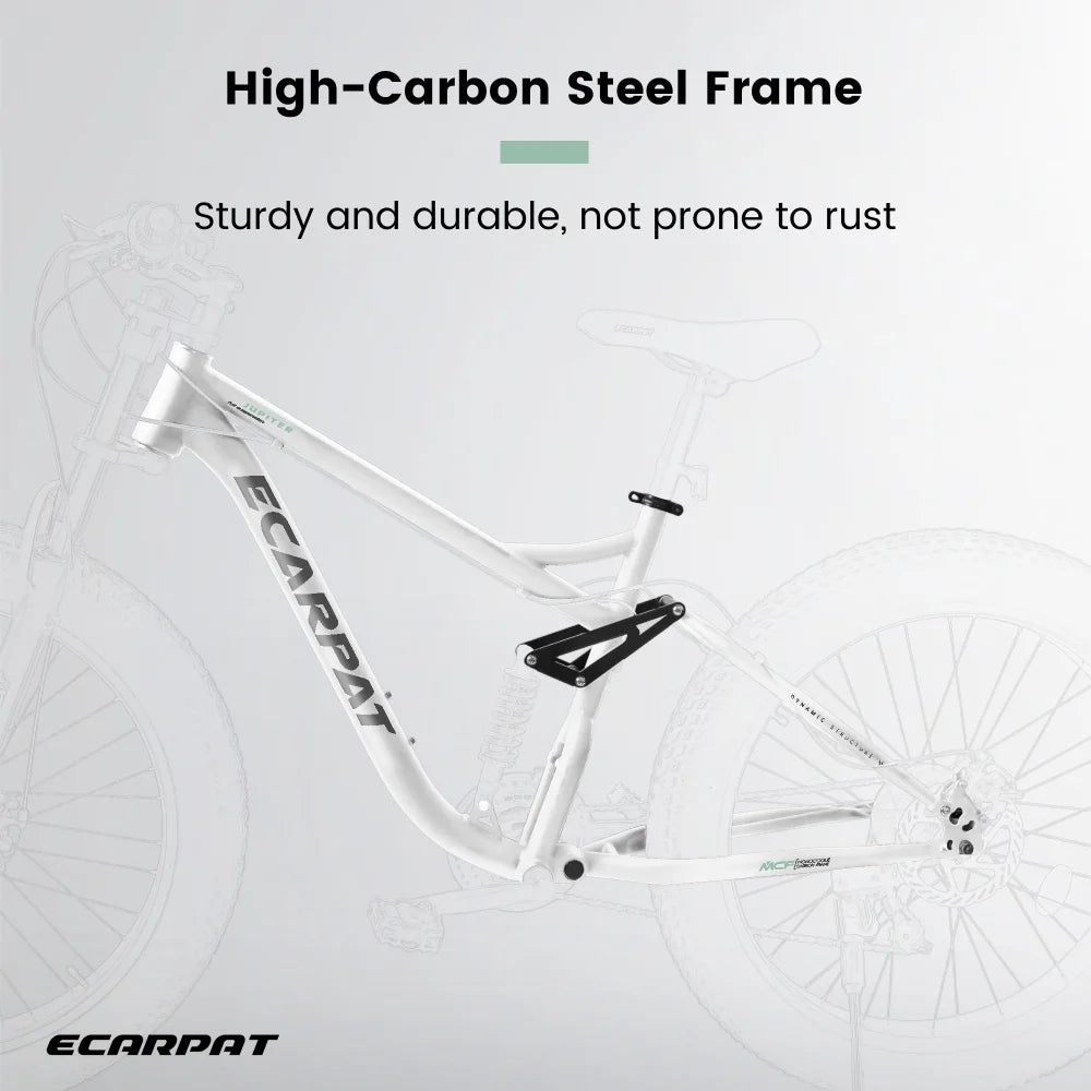 26 in Mountain Bike for Men, 26*4" Fat Tire Mountain Bicycles, Full - Suspension 21 - Speed Drivetrain with Disc Brakes